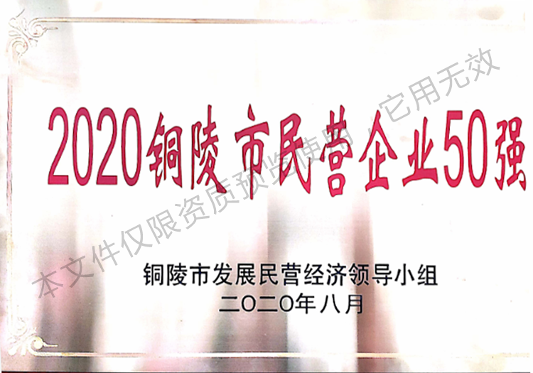 2020銅陵市民營企業(yè)50強(qiáng)